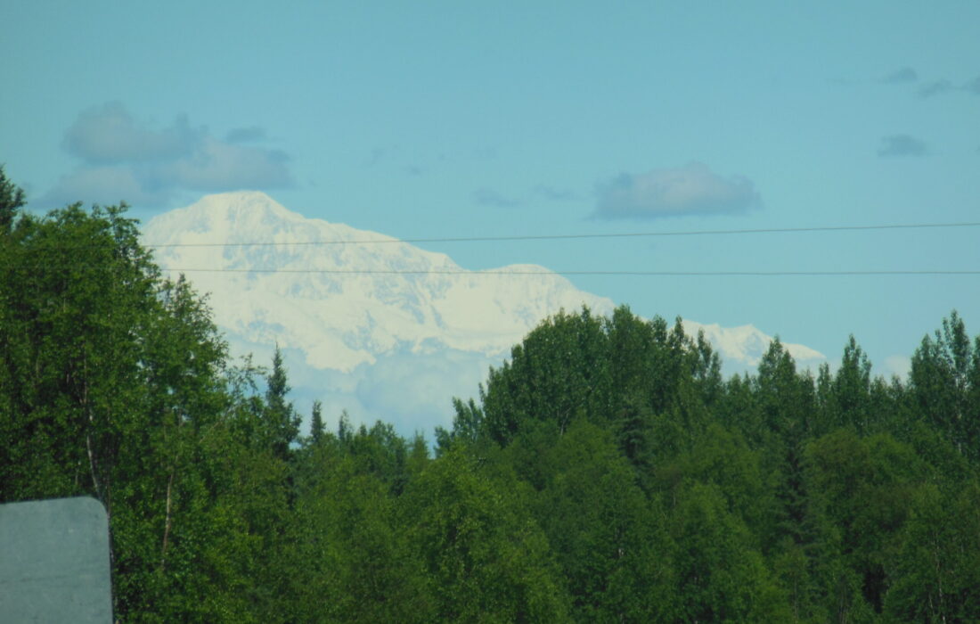 DSCN0388