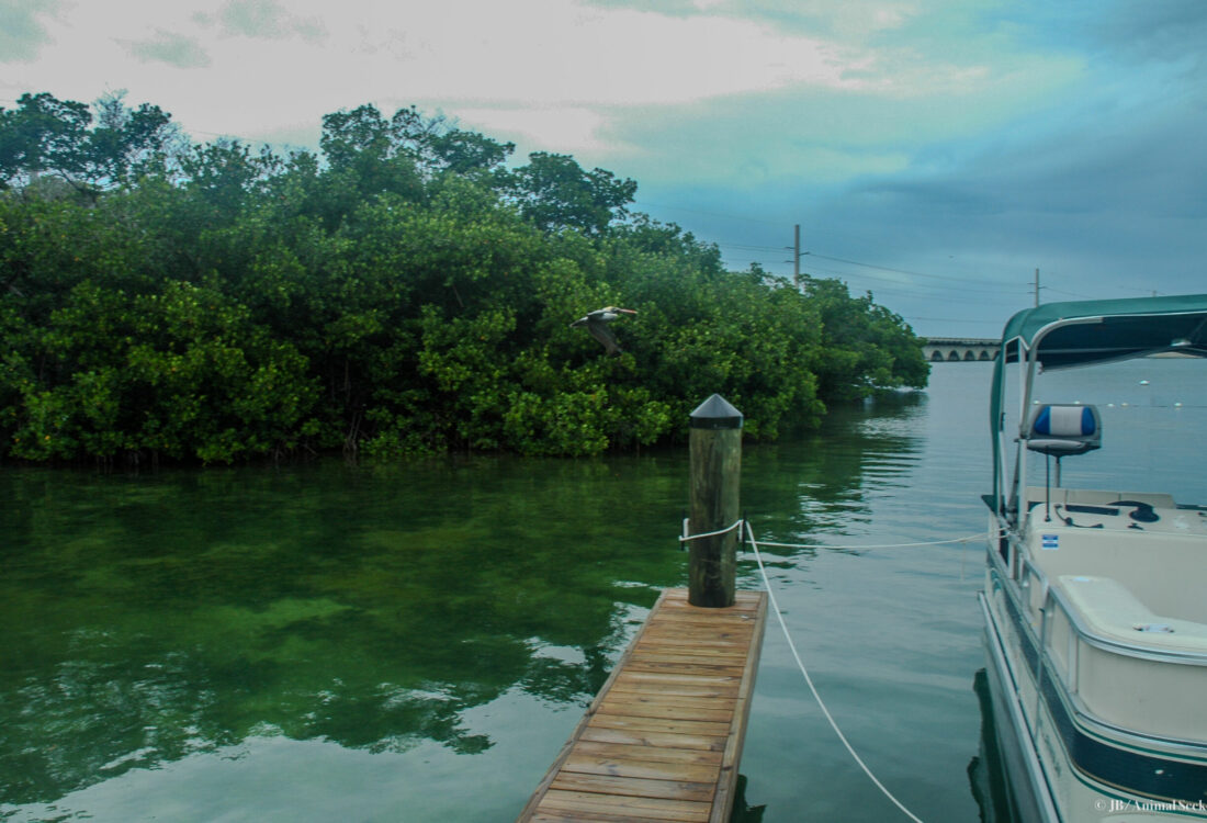 Florida Keys 1 watermark