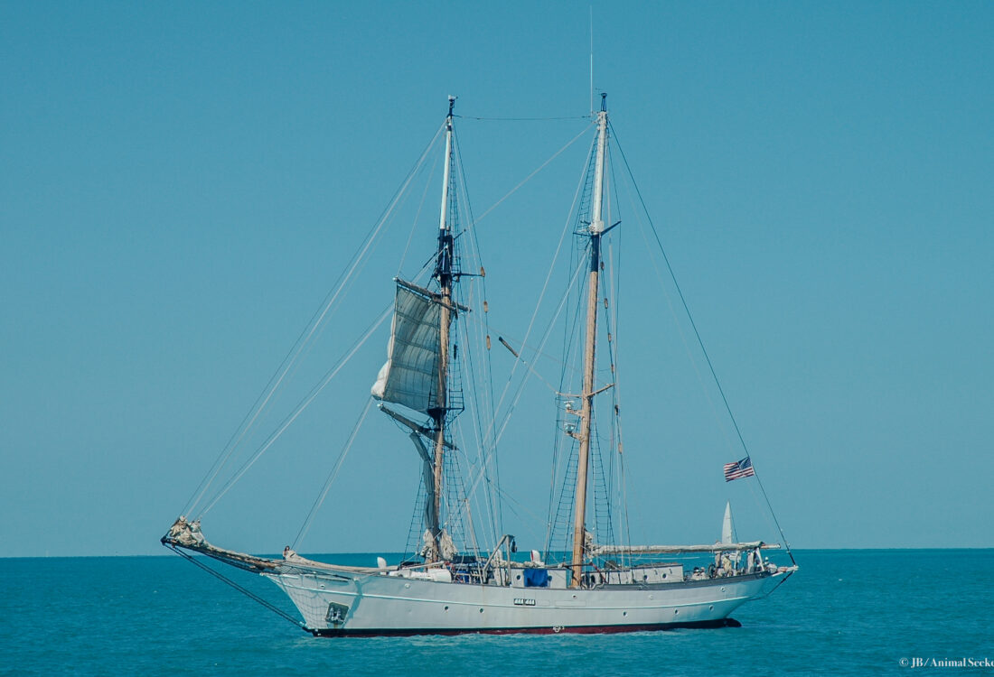 Florida Keys 2 watermark