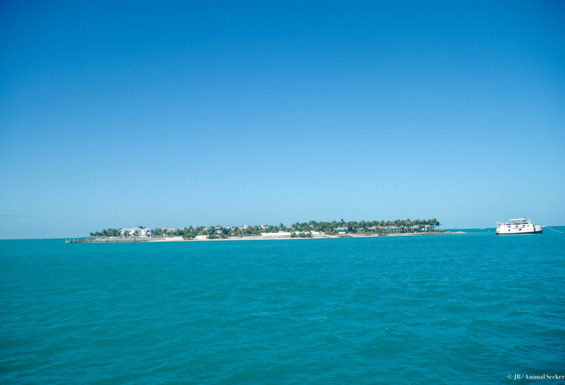 Florida Keys 5 watermark