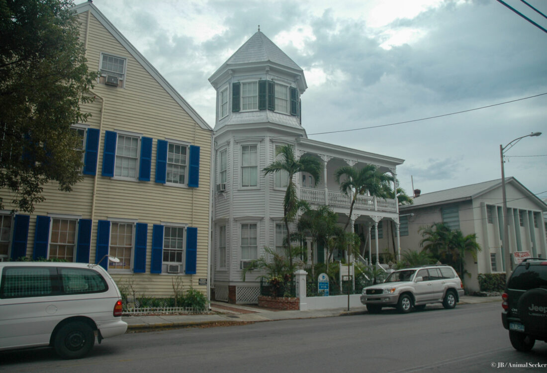 Key West 1 watermark