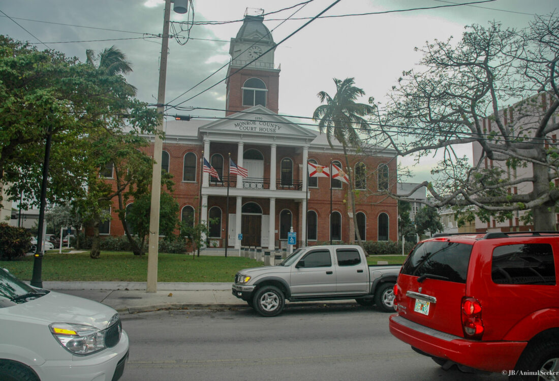 Key West 2 watermark
